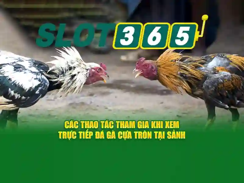 Tổng quan chủ đề và giá trị cốt lõi