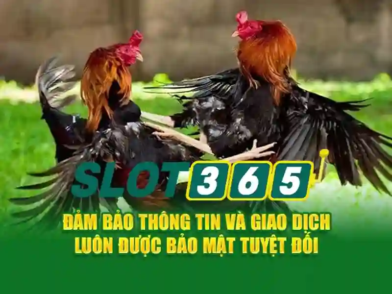 Nguồn gốc và sứ mệnh của slot365 xx vip\n Nguồn gốc và sứ mệnh của slot365 xx vip\n