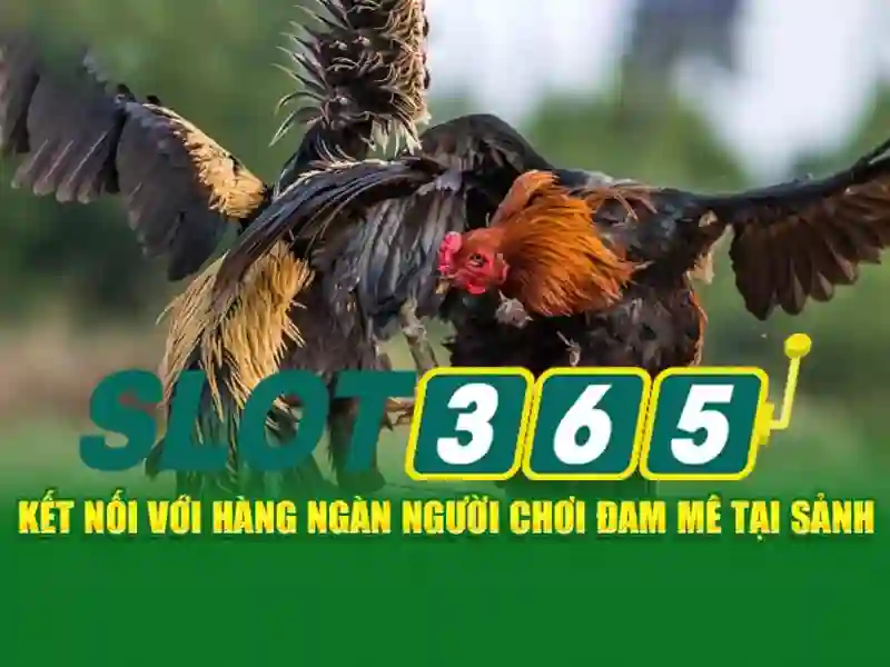 An toàn và thanh toán