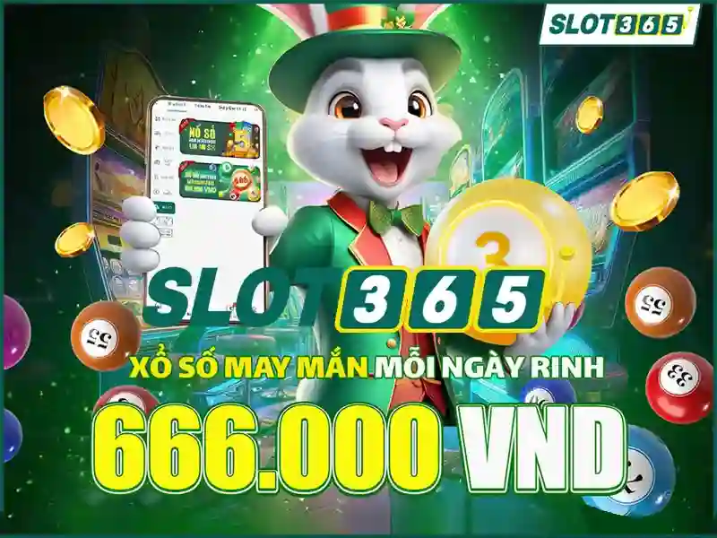 Giao diện người dùng và trải nghiệm