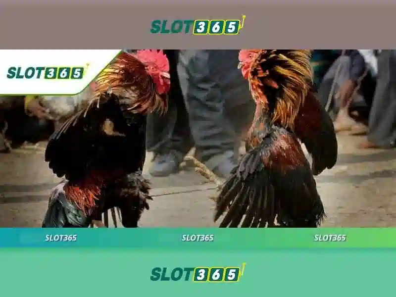 Trải nghiệm người dùng và phản hồi từ cộng đồng