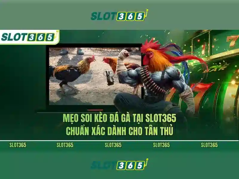 Slot365 là gì và trải nghiệm chơi khe cắm online Soi kèo hiệp 1