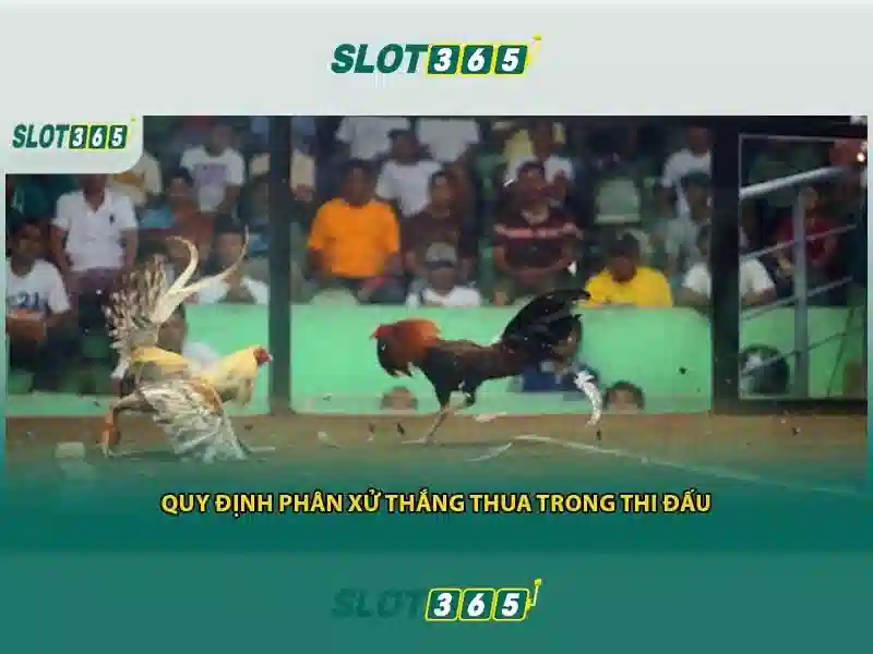 Slot365 - Trải nghiệm máy slot trực tuyến đỉnh cao Soi kèo hiệp 1