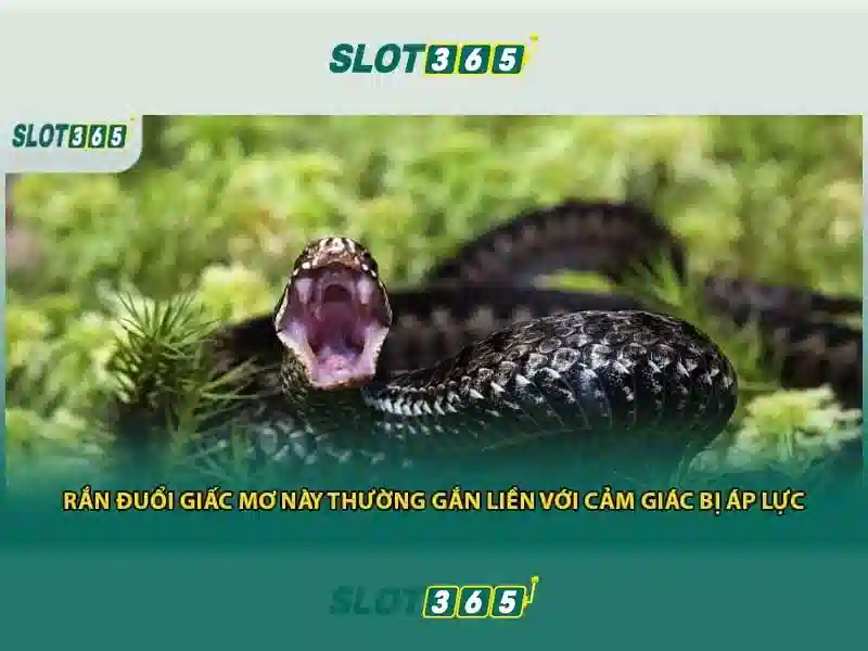 đánh giá Slot365 – Nguồn gốc và sứ mệnh