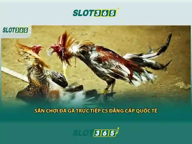 Soi kèo hiệp 1