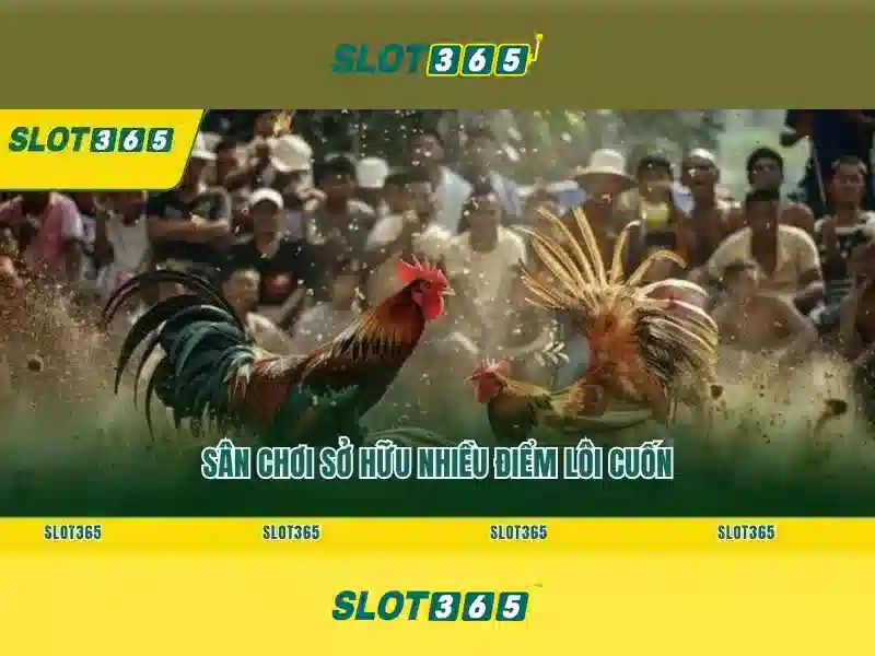 Trò chơi và bảng cược\n Trò chơi và bảng cược\n