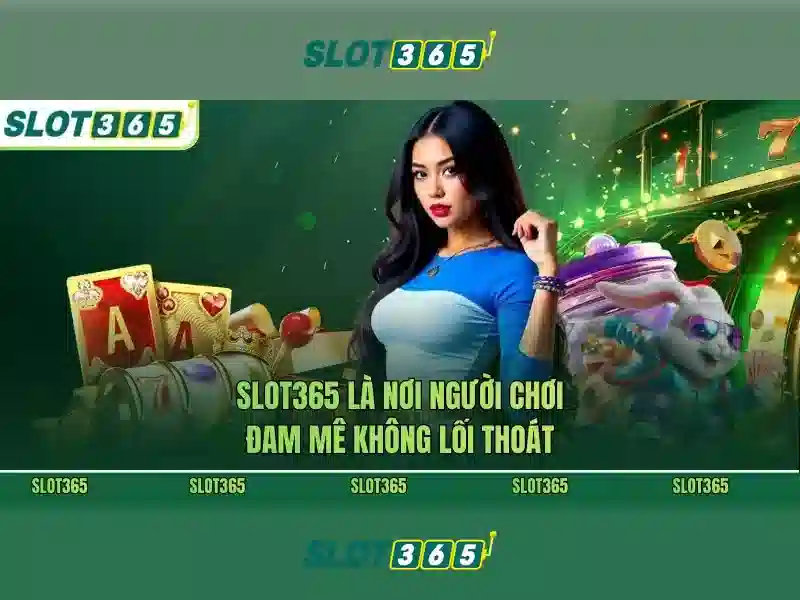 Khuyến mãi hấp dẫn và chương trình thưởng Khuyến mãi hấp dẫn và chương trình thưởng