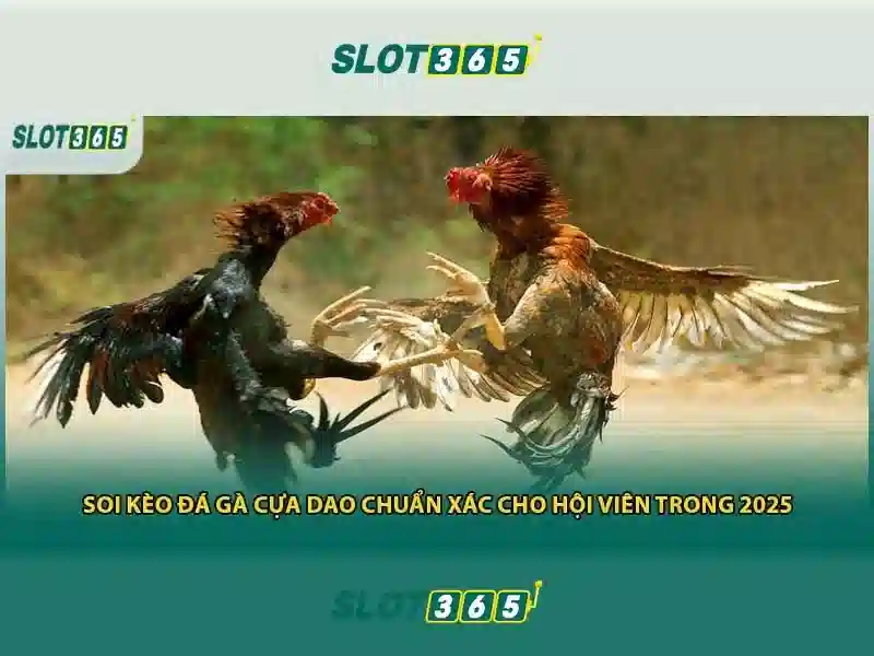 Slot365 - Sân chơi slot trực tuyến uy tín