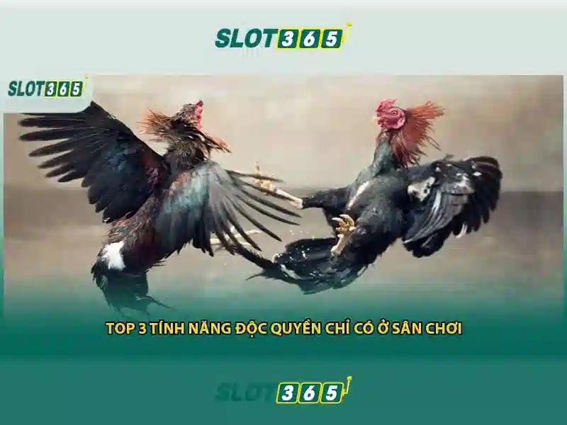 Slot365 là gì?
