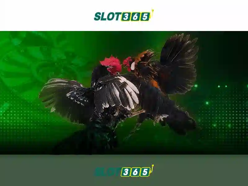 Slot365 - Nền tảng slot trực tuyến đa dạng và an toàn Soi kèo hiệp 1