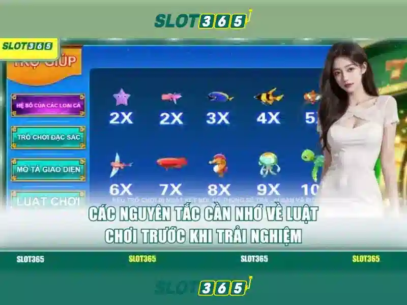 Trải nghiệm người dùng tối ưu với Slot365