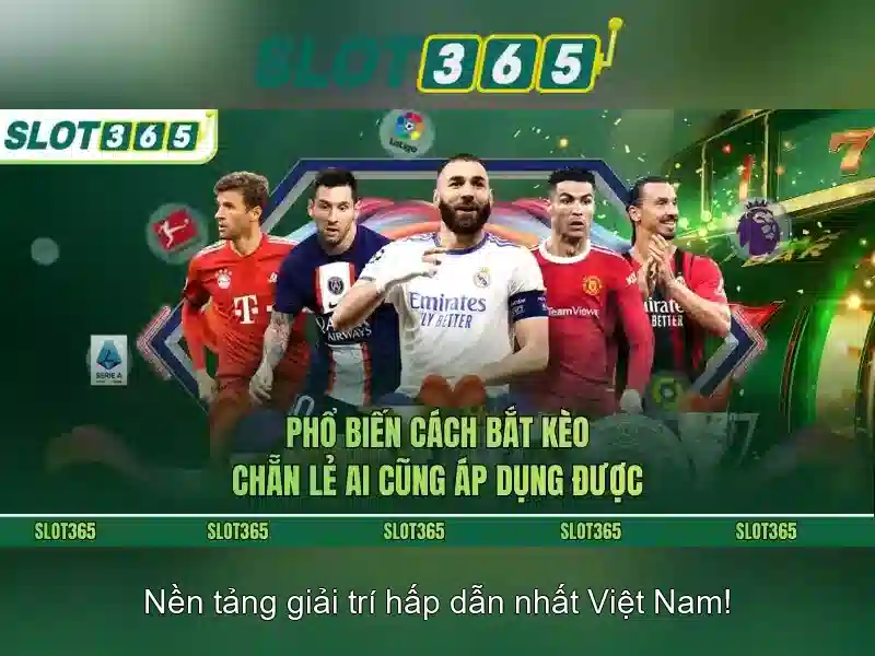 Khuyến mãi và chương trình thưởng