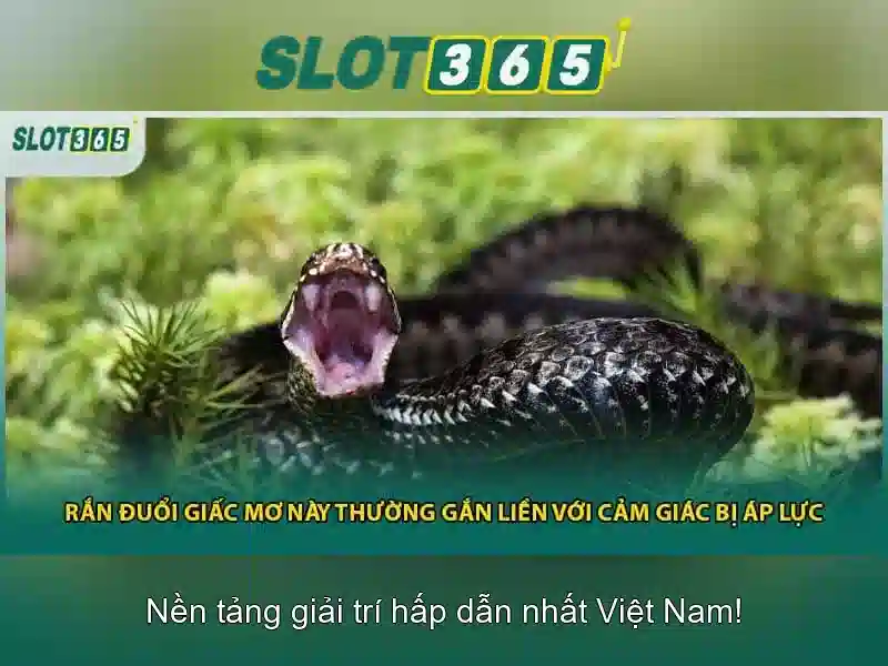 Đăng Nhập