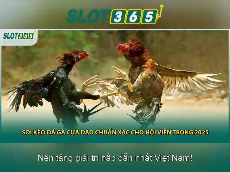 Giao diện người dùng và trải nghiệm