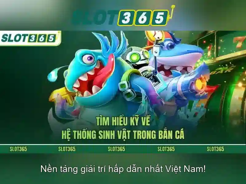 Khuyến mãi và cách nhận thưởng
