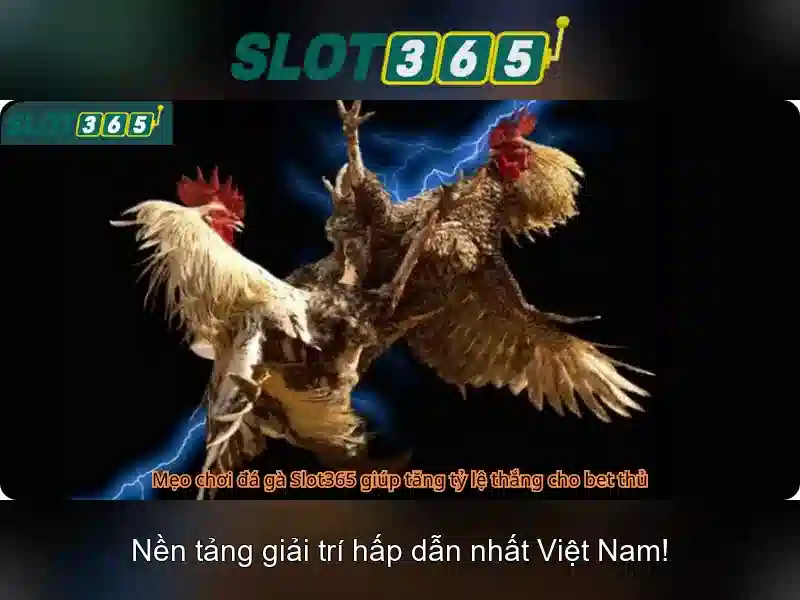 Ưu điểm của Slot365