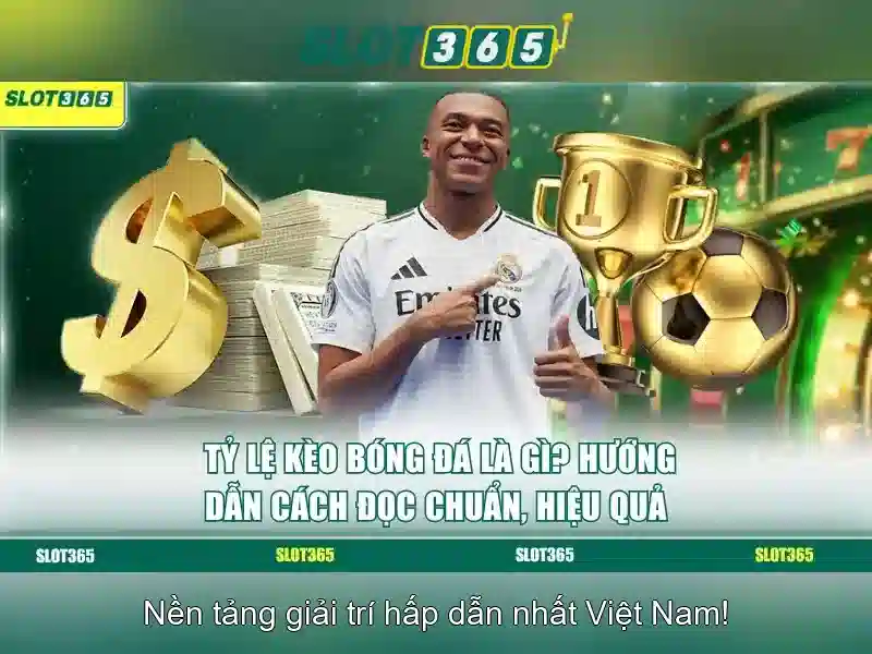 Kết luận về Slot365 Kết luận về Slot365