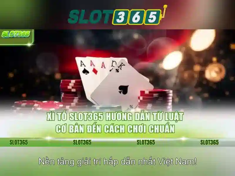 An toàn và cấp phép