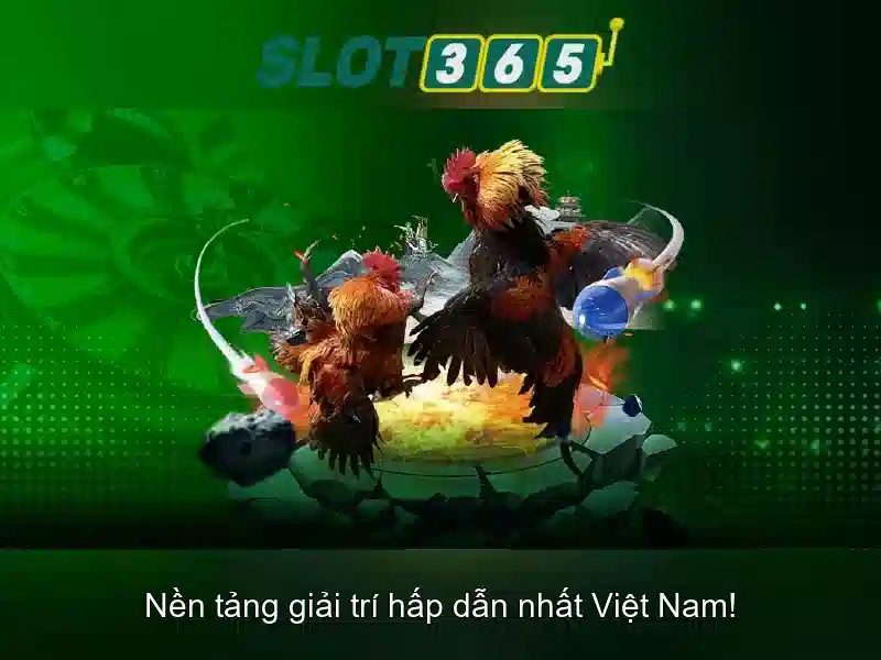 An toàn, bảo mật và thanh toán