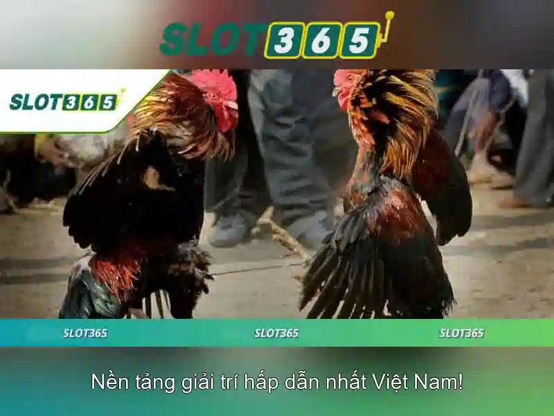 Soi kèo hiệp 1