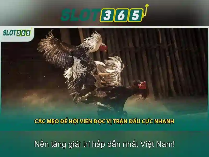 Soi kèo hiệp 1