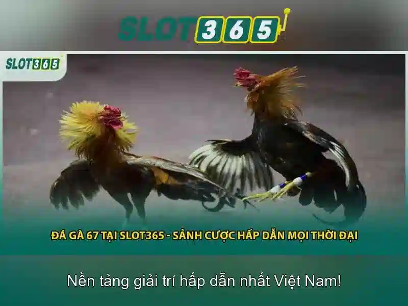 Slot365 - Nền tảng máy xèng trực tuyến uy tín và giải trí Soi kèo hiệp 1