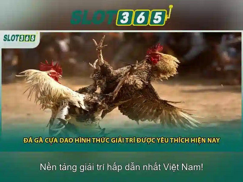 Tại sao nên chọn Slot365 cho trải nghiệm slot\n Tại sao nên chọn Slot365 cho trải nghiệm slot\n