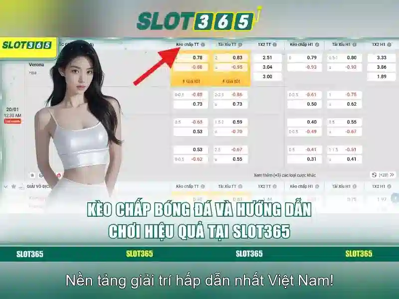 Hướng dẫn nhanh để bắt đầu