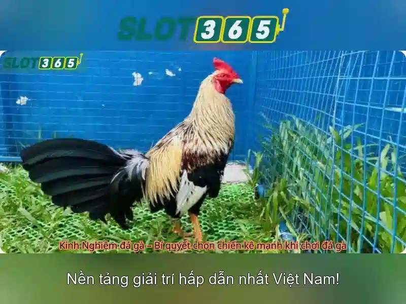 Danh mục trò chơi đa dạng