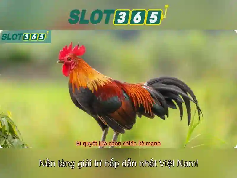 Soi kèo hiệp 1