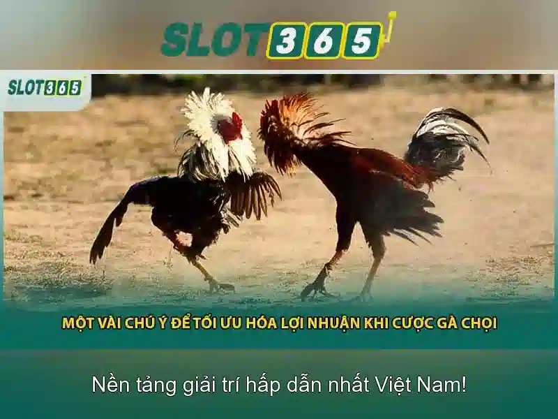 Soi kèo hiệp 1