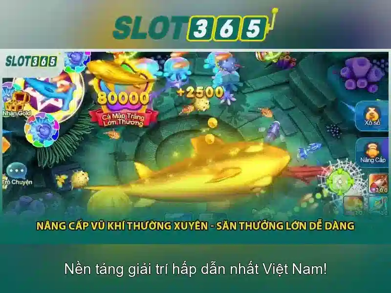 Slot365 là gì? Slot365 là gì?