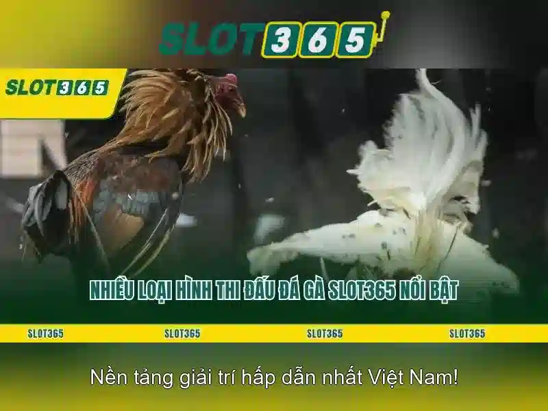 Slot365: Nền tảng máy đánh bạc trực tuyến uy tín Soi kèo hiệp 1