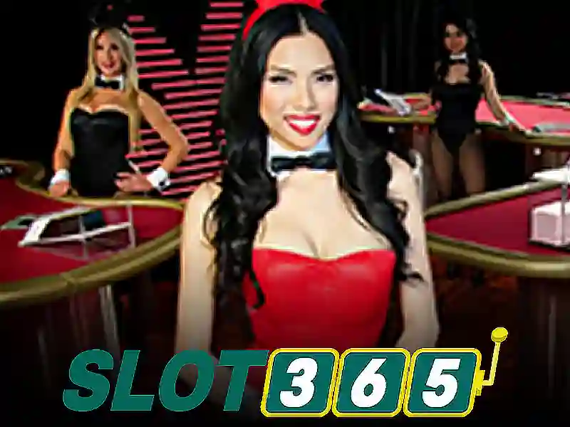 slot365 vn – Nguồn gốc và sứ mệnh slot365 vn – Nguồn gốc và sứ mệnh