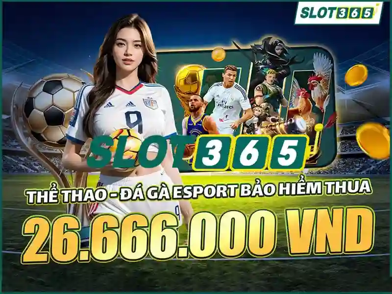 Bảo mật và thanh toán
