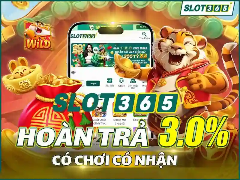 Trải nghiệm người dùng và phản hồi cộng đồng Trải nghiệm người dùng và phản hồi cộng đồng